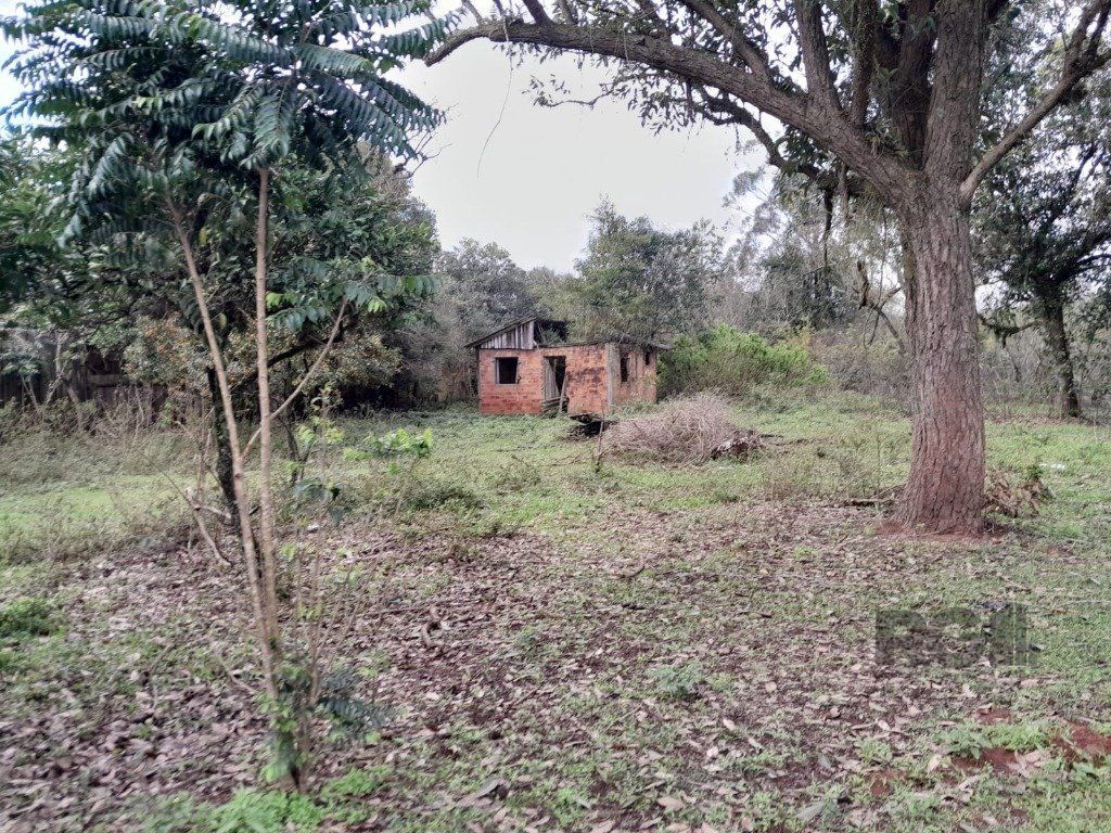 Terreno à venda, 5999m² - Foto 6