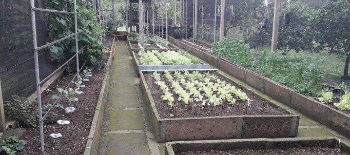 Chácara, 2 quartos, 1 hectares - Foto 60