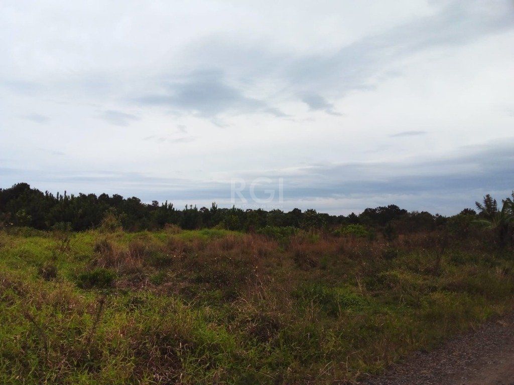 Terreno, 1 hectares - Foto 4