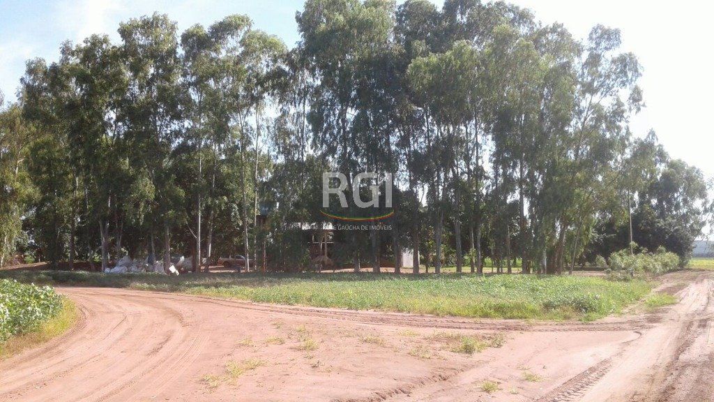 Terreno, 1050 hectares - Foto 27