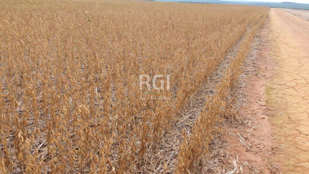 Terreno, 1050 hectares - Foto 35