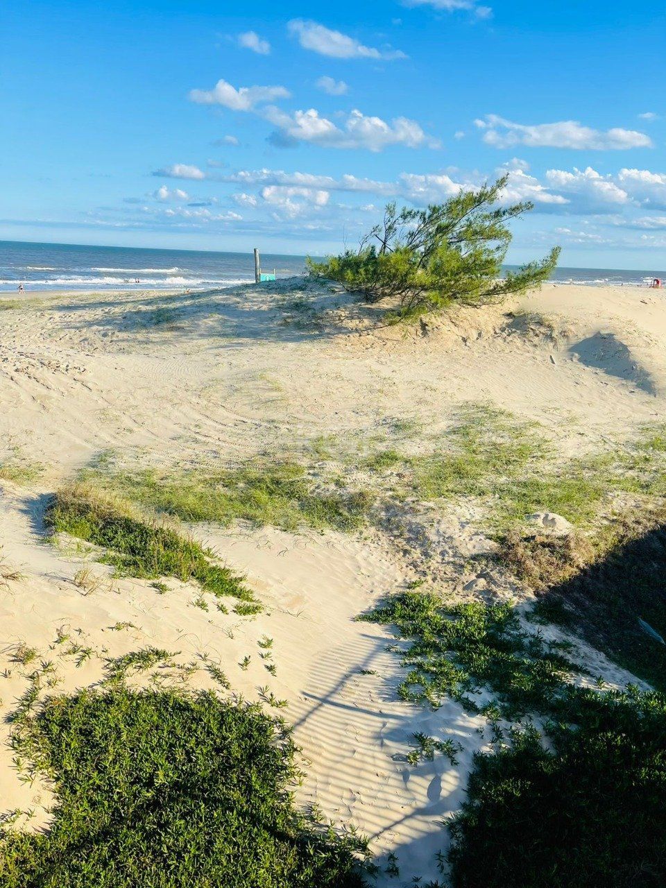 Terreno, 600 m² - Foto 2