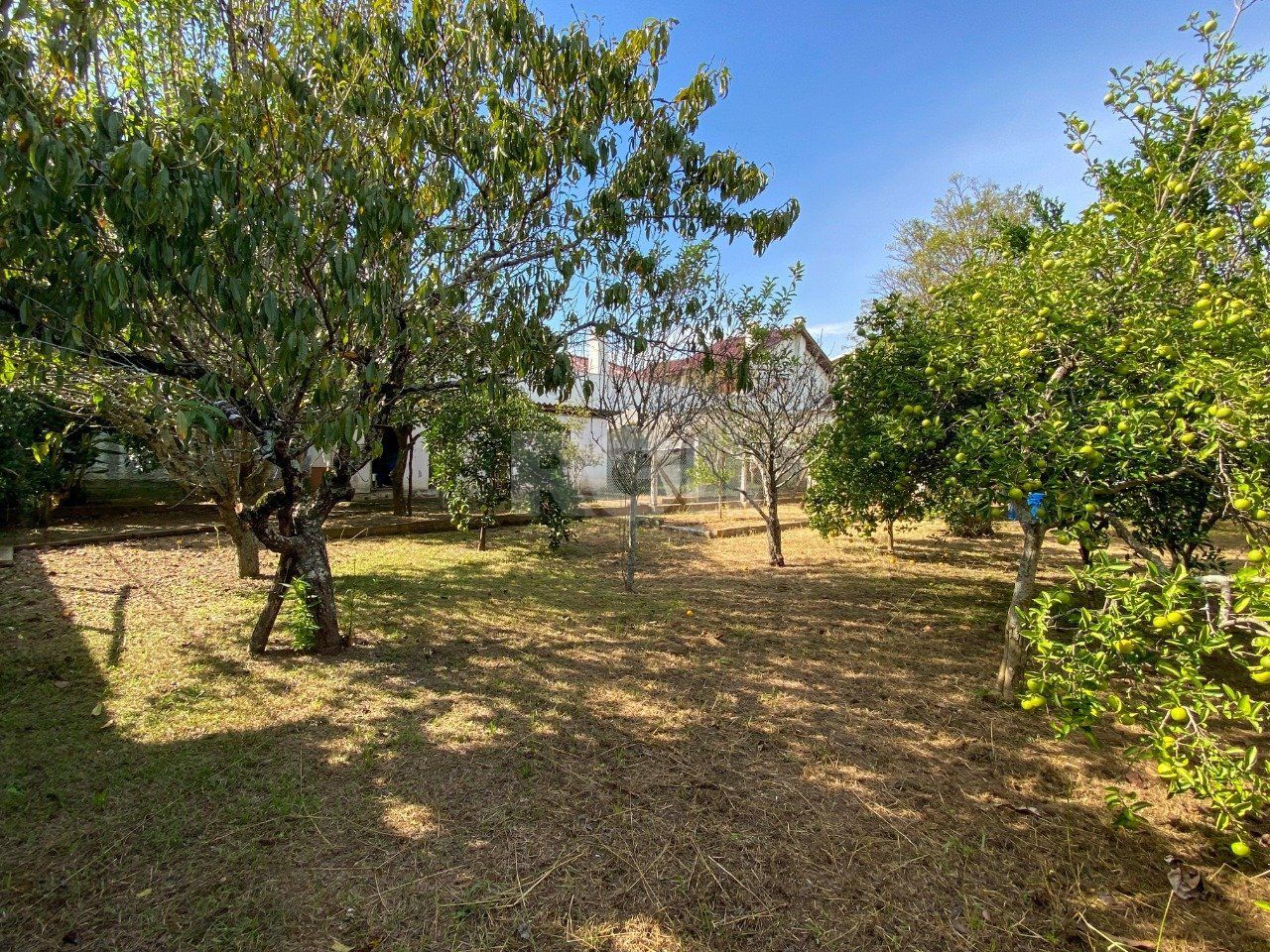 Casa, 4 quartos, 205 m² - Foto 73