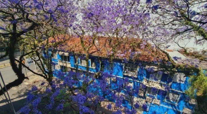 Apartamento, 3 quartos, 147 m² - Foto 12