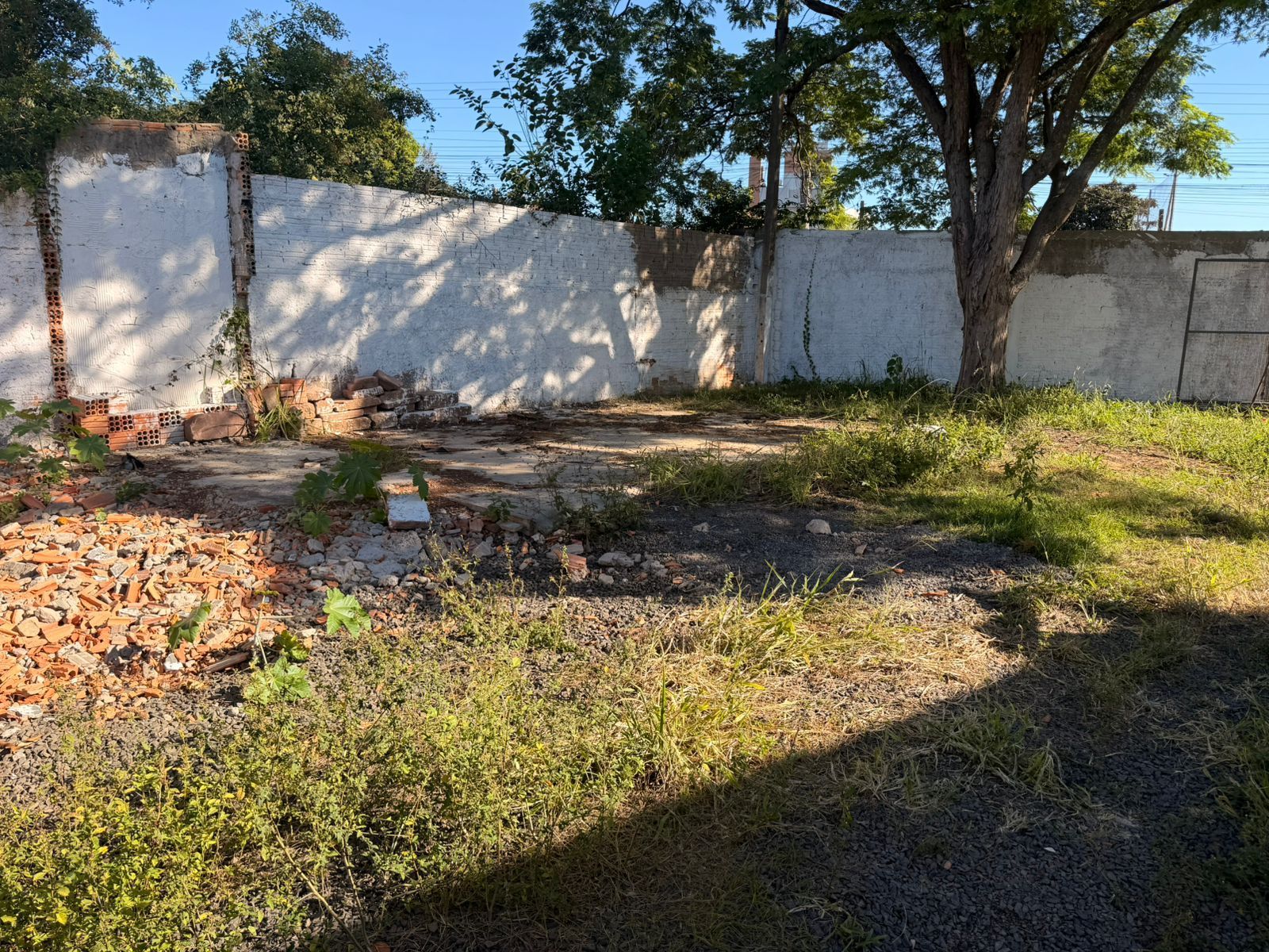 Terreno para alugar, São Judas Tadeu - Gravataí — foto 3