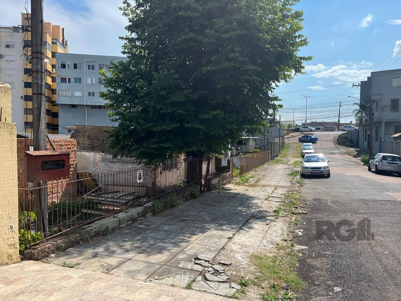 Terreno 1.550m² Bairro Bom Princípio — foto 5