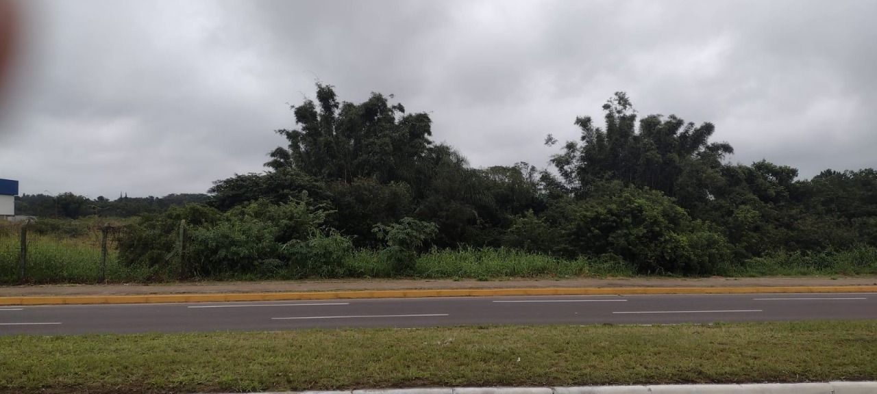 Area para Venda - 0m², 0 dormitórios, Souza Cruz — foto 5