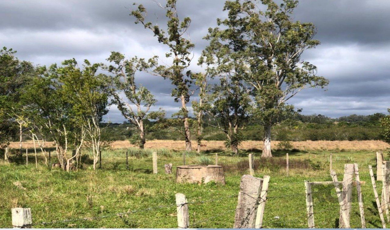 Terreno à venda, Elsa - Viamão — foto 5