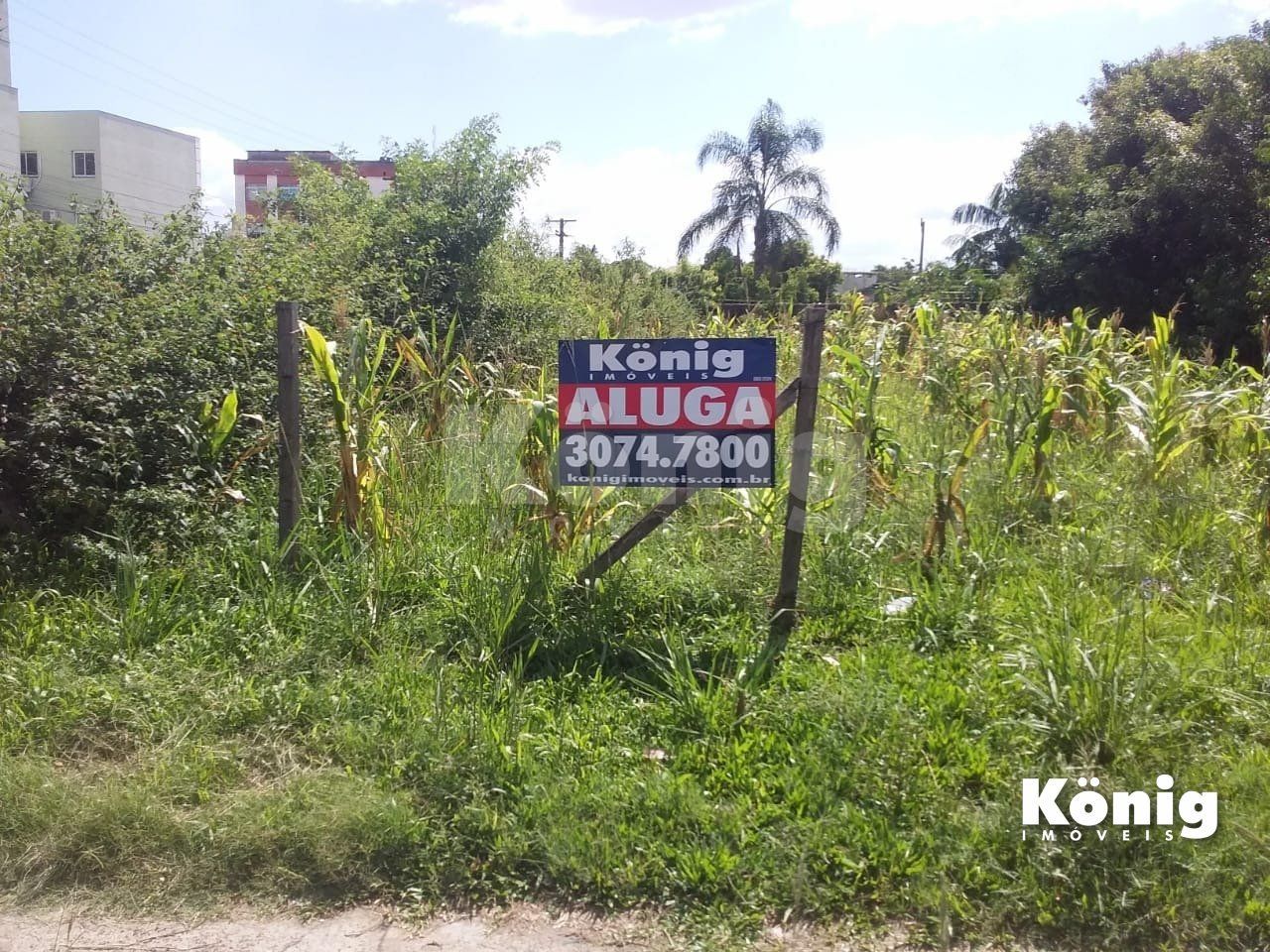 Terreno para Locação/Aluguel - 0m², 0 dormitórios, Vila Fátima — foto 5