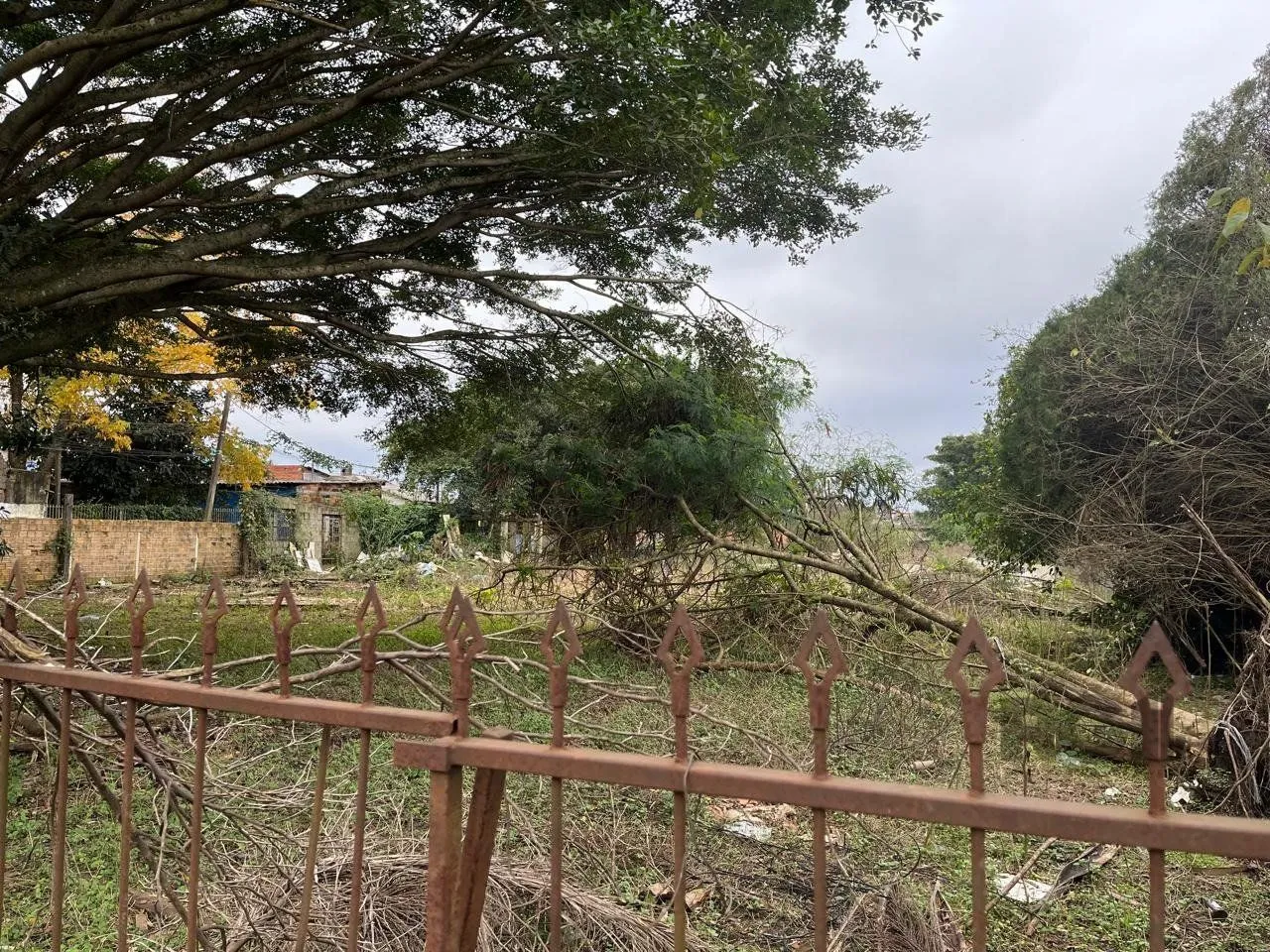 Terreno, 3000 m² - Foto 2