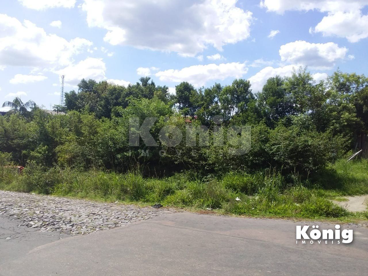 Terreno para Locação/Aluguel - 0m², 0 dormitórios, Vila Fátima — foto 2