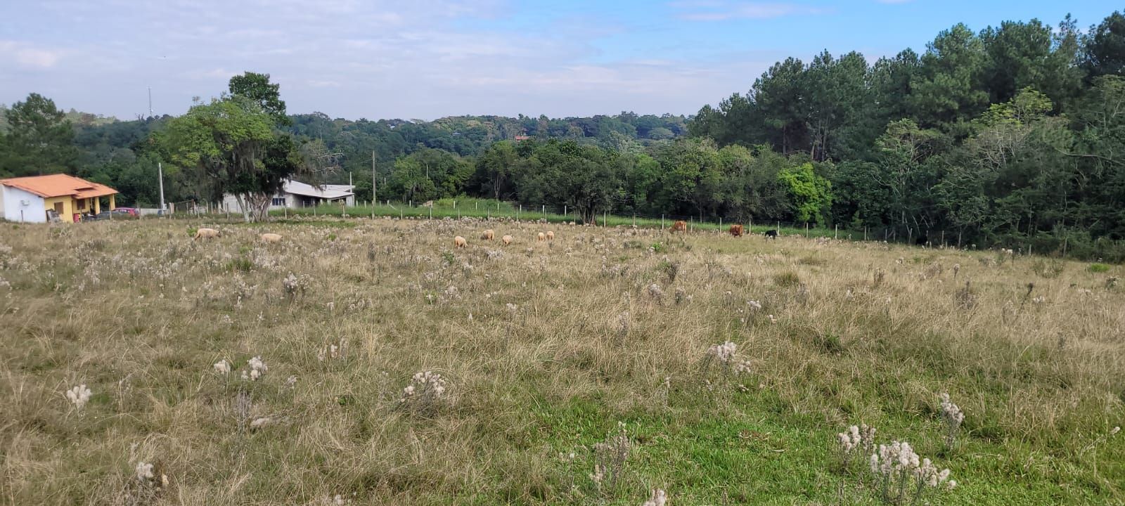 Área de terra com 2,5 ha Bairro Parque Itacolomi — foto 4