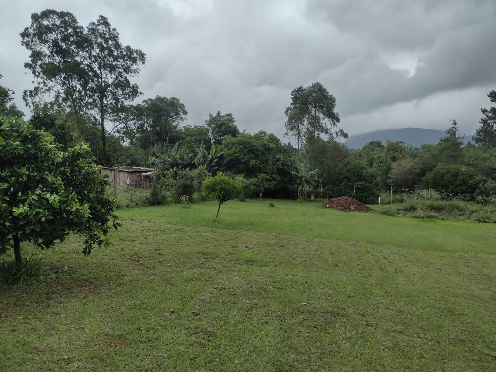 Sítio à venda com 3 quartos, 101m² - Foto 4