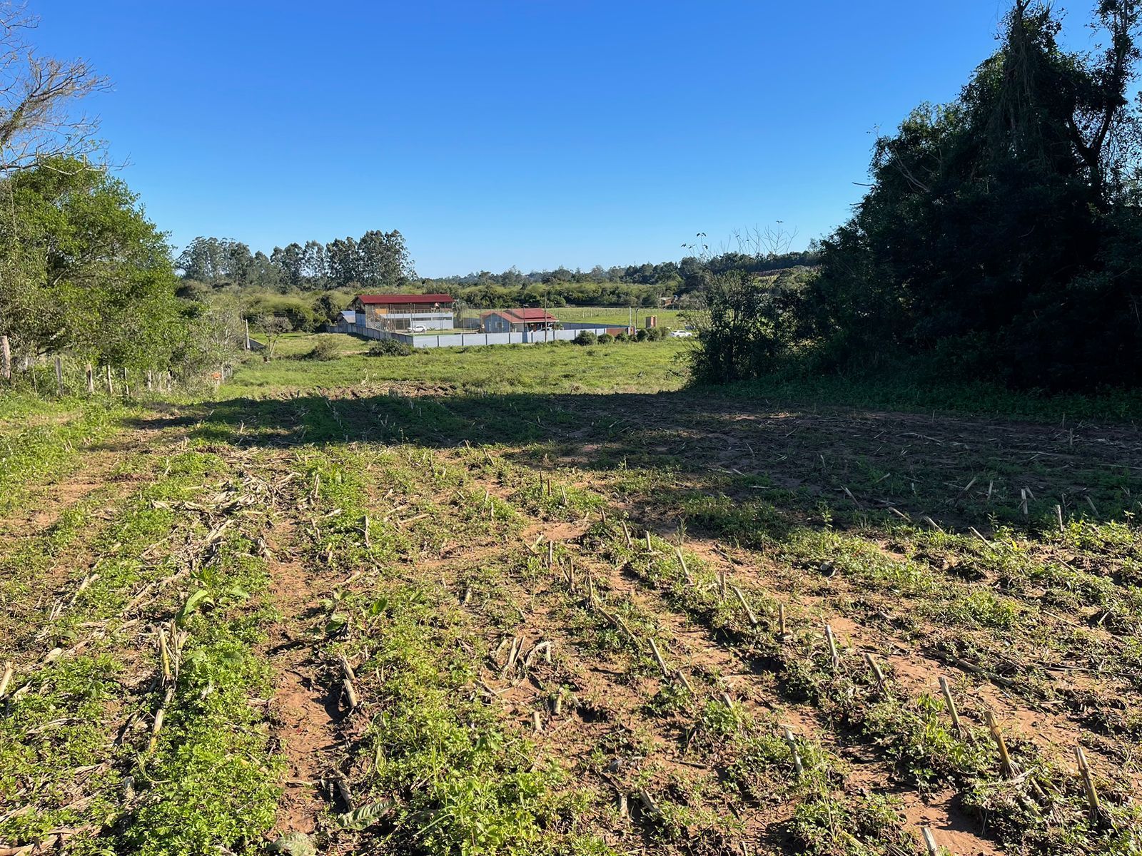 Terreno com 2.4 hectares faixa de Taquara — foto 2