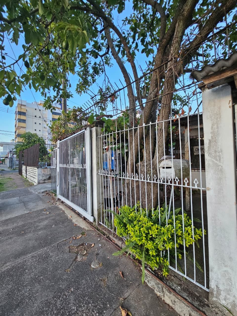 Casa 2 dormitórios, 2 vagas, Bairro Jardim América — foto 2