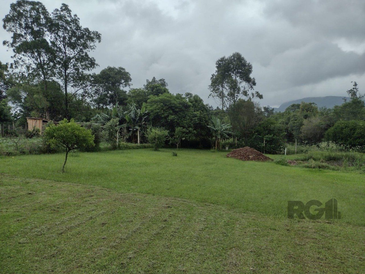 Sítio à venda com 3 quartos, 101m² - Foto 39