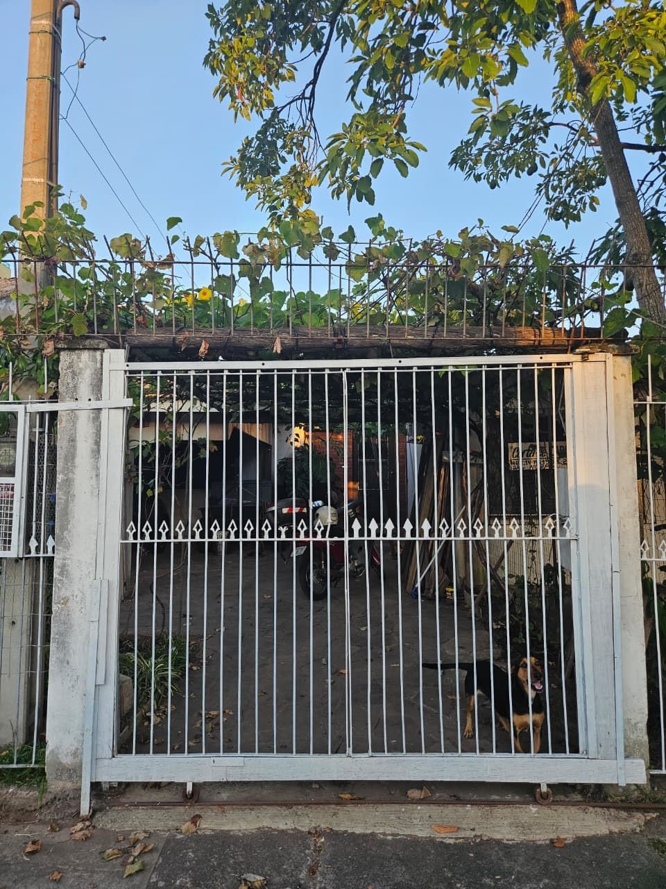 Casa 2 dormitórios, 2 vagas, Bairro Jardim América — foto 3