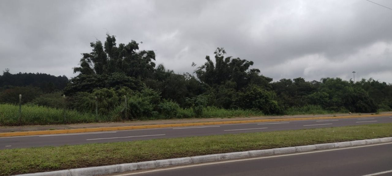 Area para Venda - 0m², 0 dormitórios, Souza Cruz — foto 4