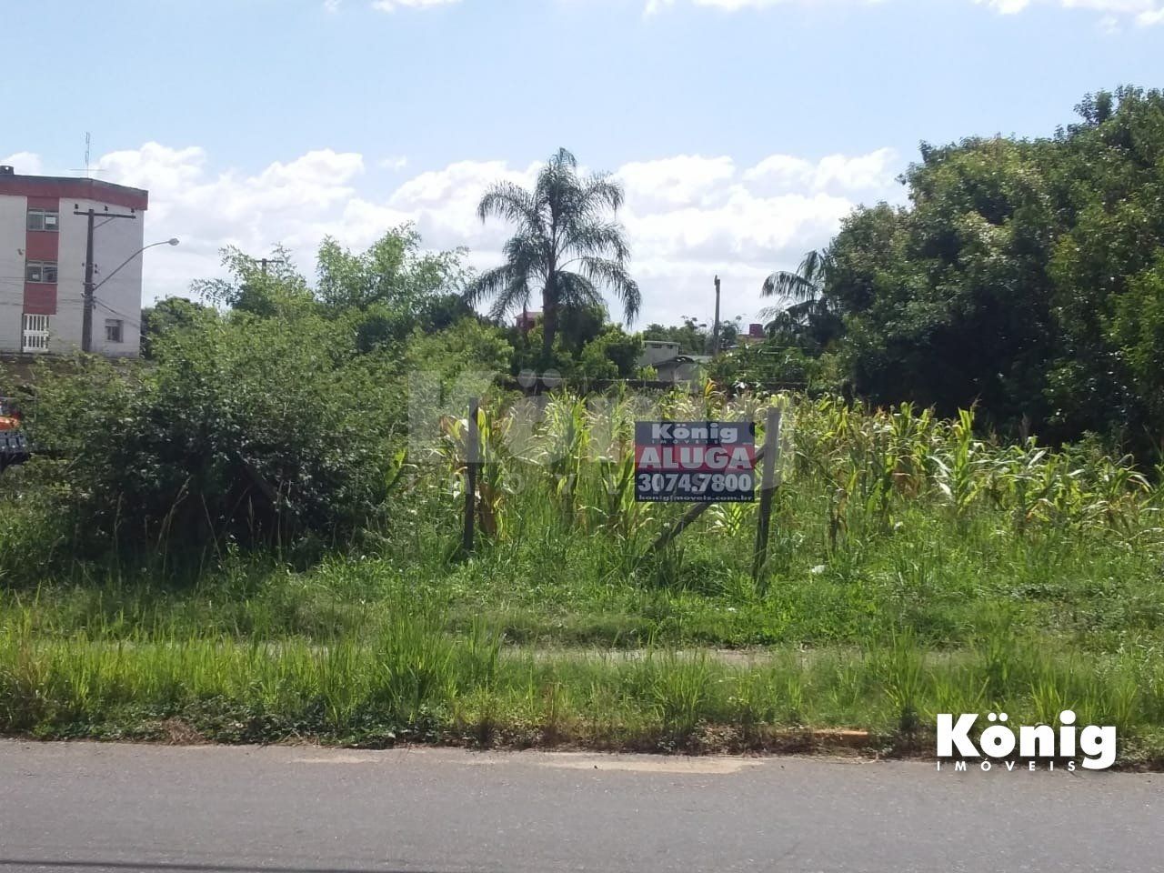 Terreno para Locação/Aluguel - 0m², 0 dormitórios, Vila Fátima — foto 3