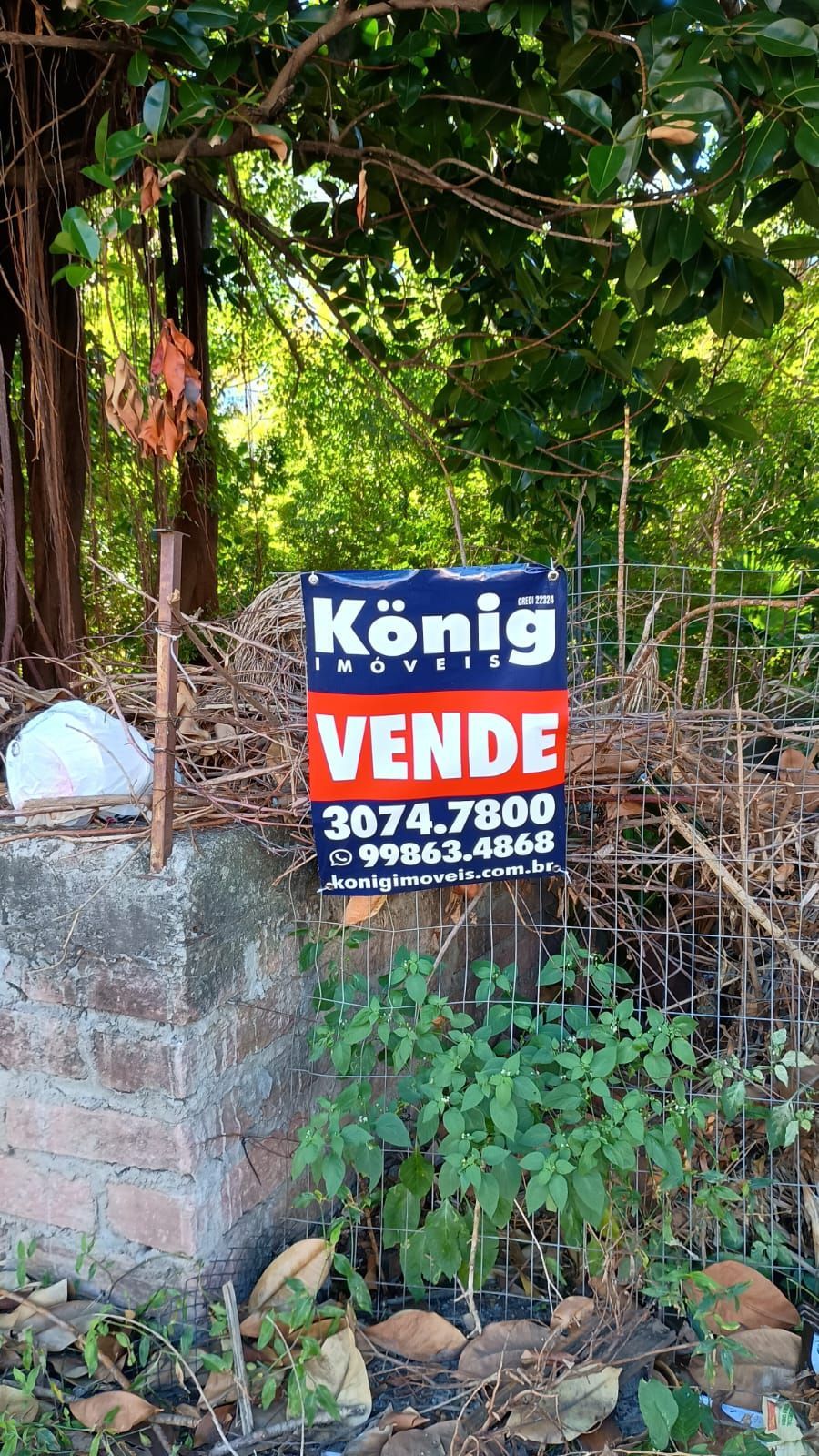 Terreno área total 724m² Bairro Jardim Lindóia — foto 3
