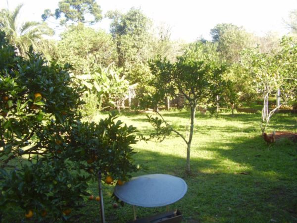 Sítio à venda com 3 quartos, 306m² - Foto 33