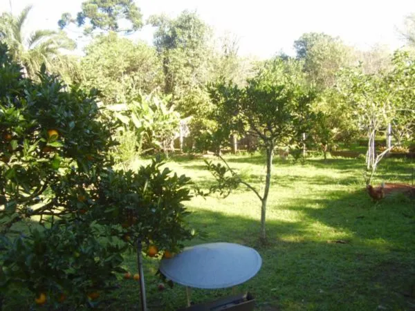 Chácara, 3 quartos, 3000 m² - Foto 33