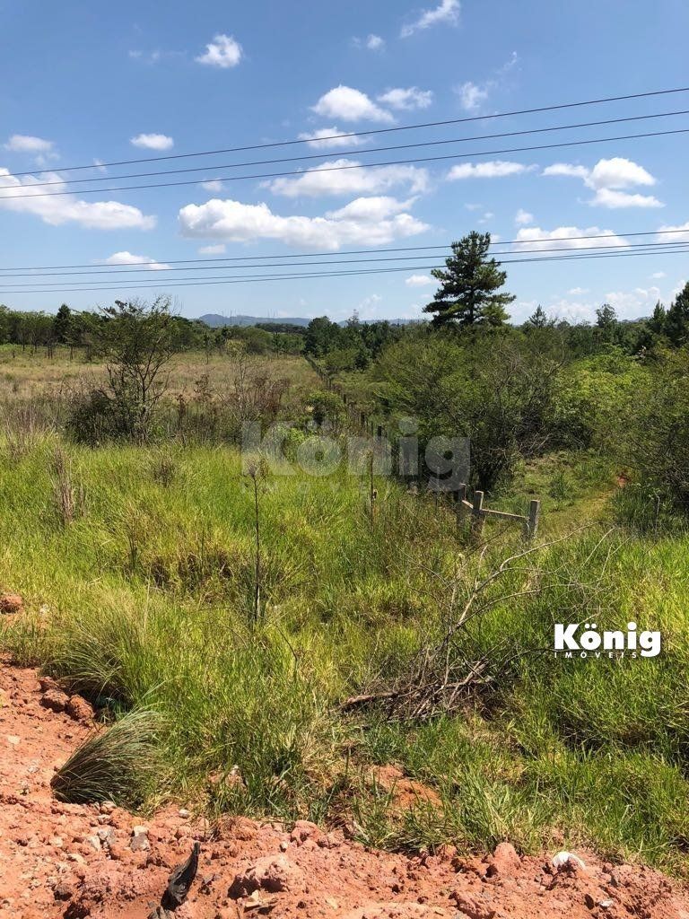 Terreno para Venda - 130000m², 0 dormitórios, Neopolis — foto 5
