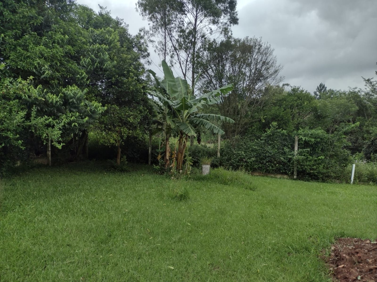 Sítio à venda com 3 quartos, 101m² - Foto 27