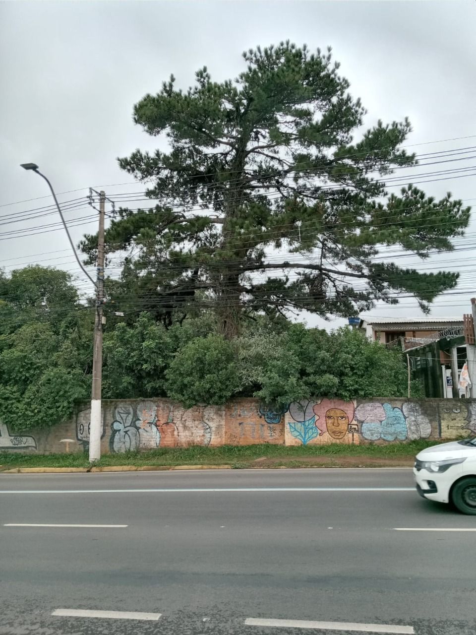Terreno à venda, Bom Princípio - Gravataí — foto 2