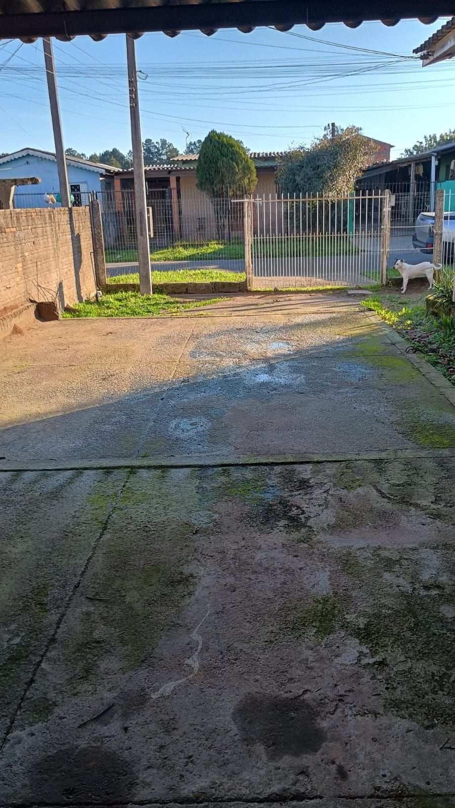 Casa 2 dormitórios, vaga de garagem, Bairro Monte Claro — foto 4