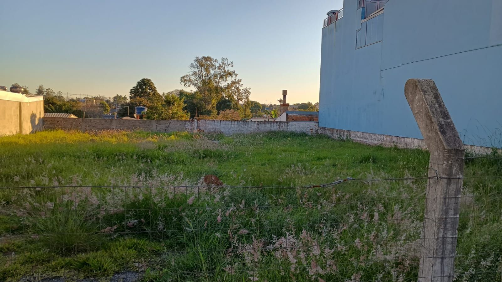 Terreno à venda, Morada do Vale I - Gravataí