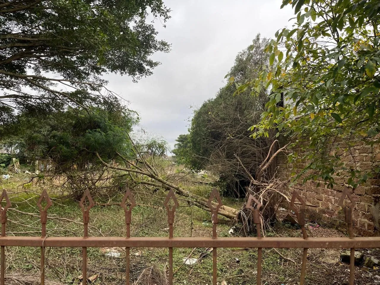 Terreno, 3000 m² - Foto 1