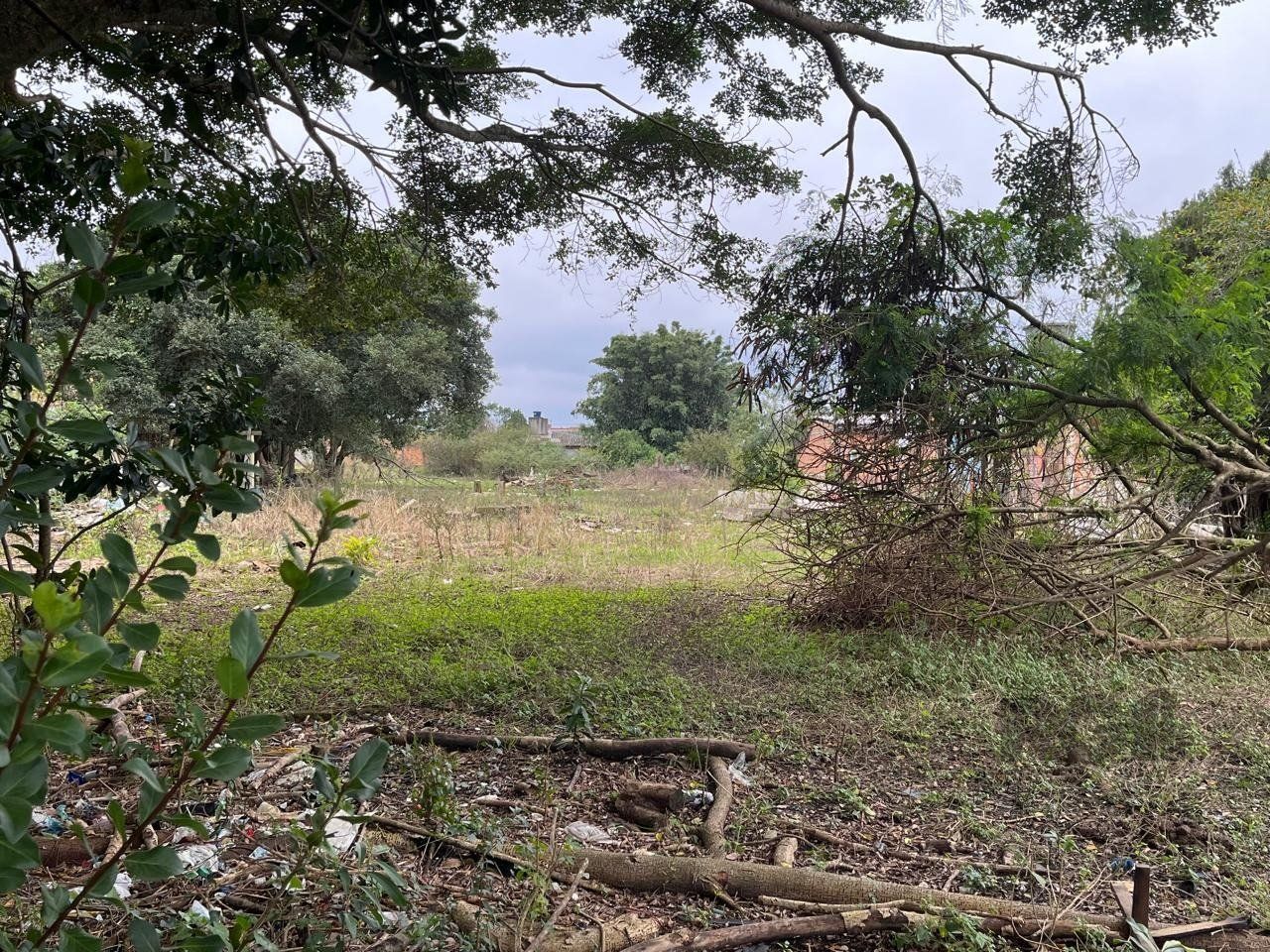 Terreno à venda, 3000m² - Foto 3