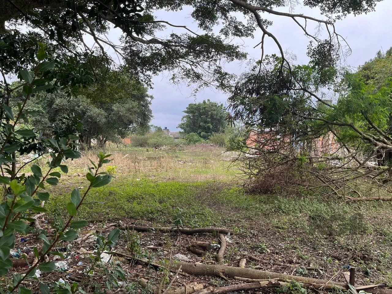 Terreno, 3000 m² - Foto 3