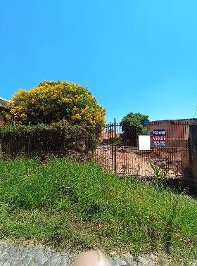 Terreno 250m² Bairro Águas Mortas — foto 3