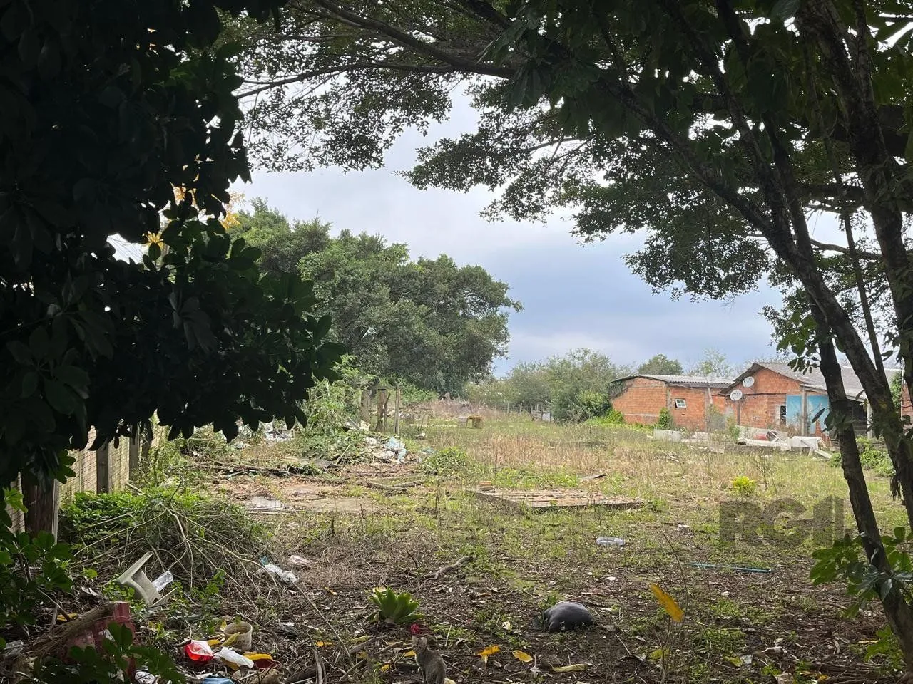 Terreno, 3000 m² - Foto 4
