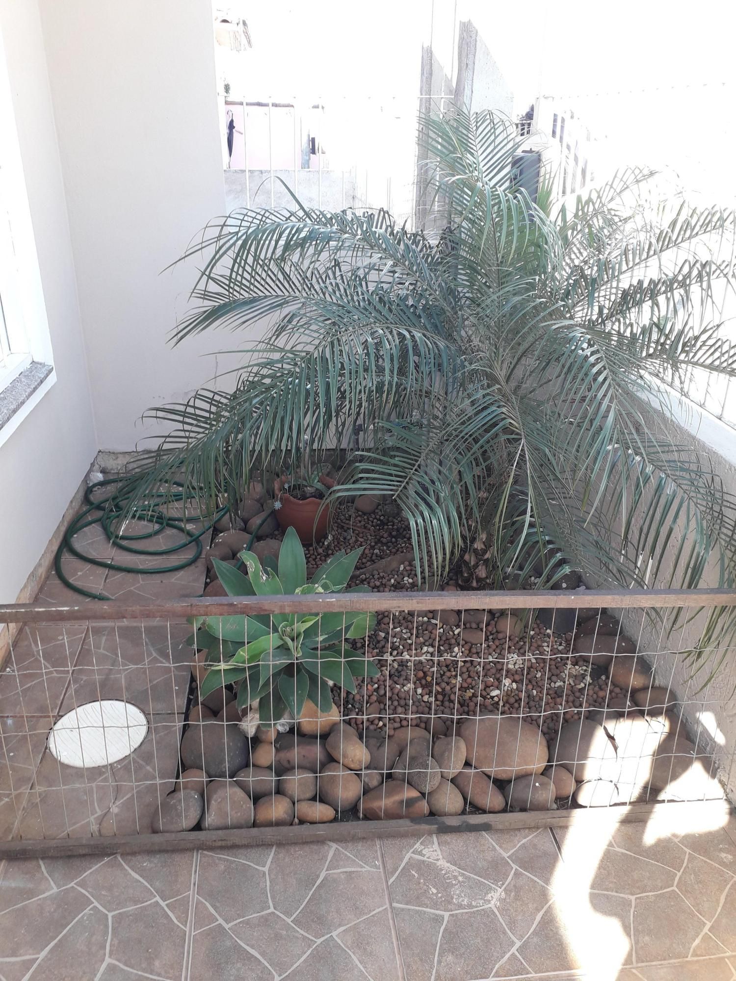 Casa 2 dormitórios, 2 vagas, Bairro Jardim do Bosque — foto 3