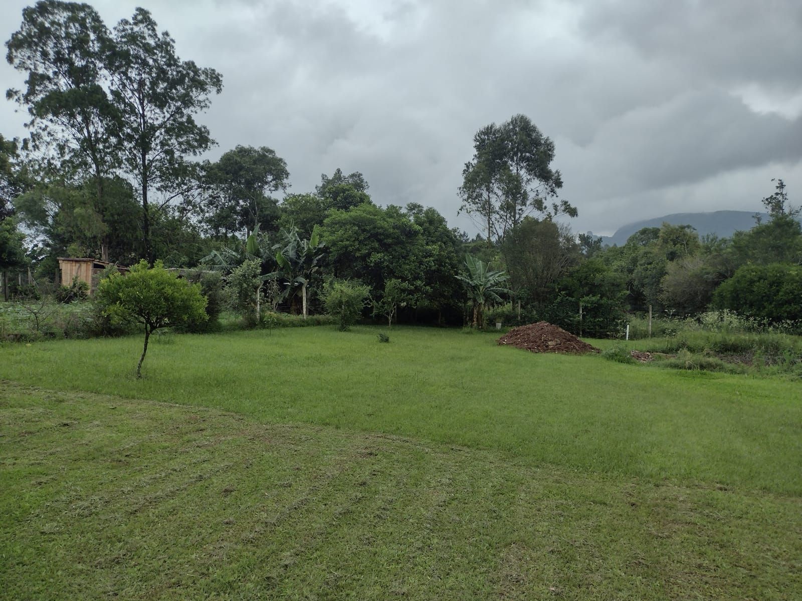 Sítio à venda com 3 quartos, 101m² - Foto 38