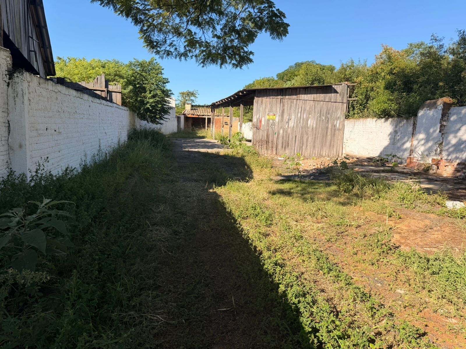 Terreno para alugar, São Judas Tadeu - Gravataí — foto 5