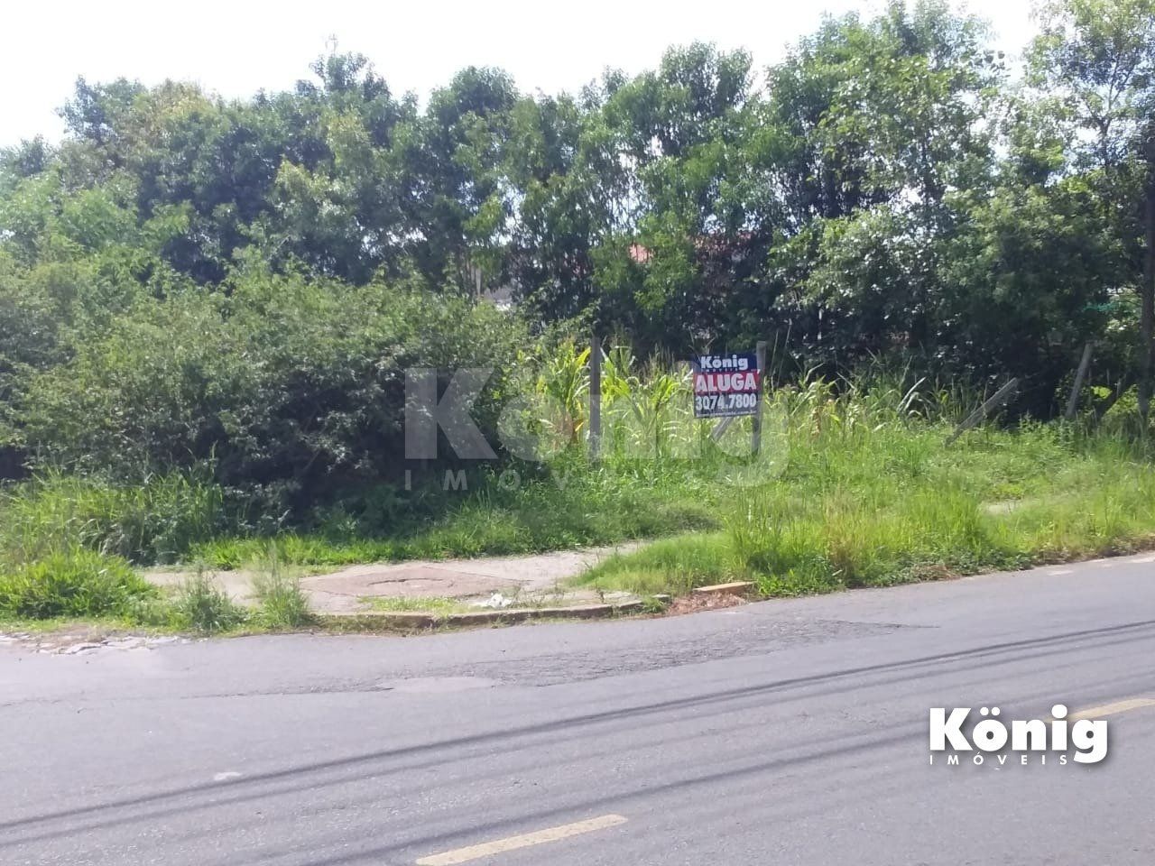 Terreno para Locação/Aluguel - 0m², 0 dormitórios, Vila Fátima — foto 4