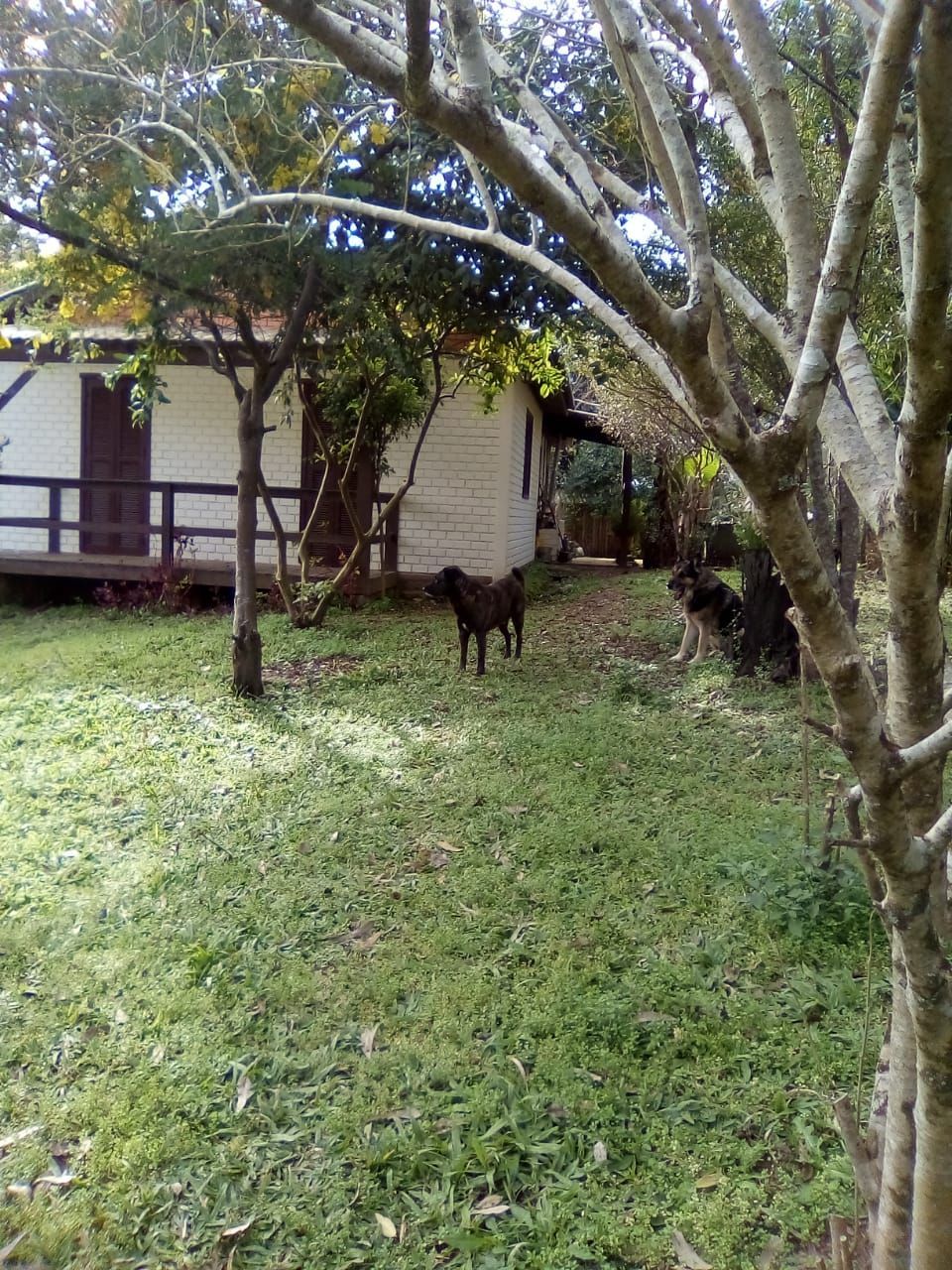 Casa de Condomínio 2 quartos à venda, 130m², Country Club - Eldorado do Sul