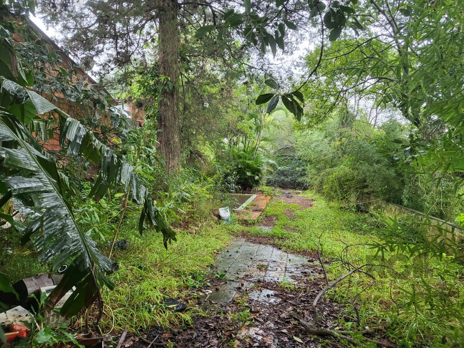 Terreno, 1558 m² - Foto 9