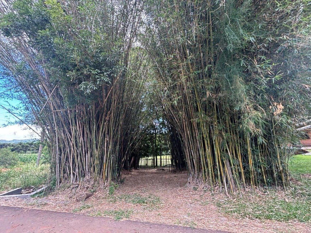 Chácara, 6 quartos, 5000 m² - Foto 4