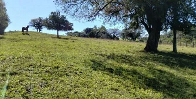 Sítio à venda com 3 quartos, 201m² - Foto 16