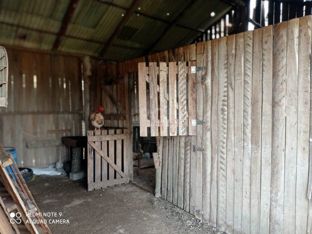 Chácara, 3 quartos, 3163 m² - Foto 32