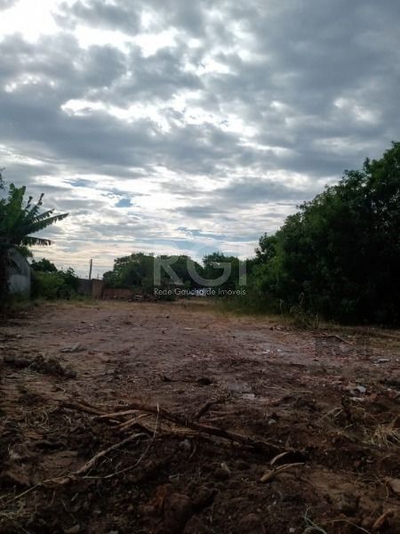 Terreno, 2394 m² - Foto 7