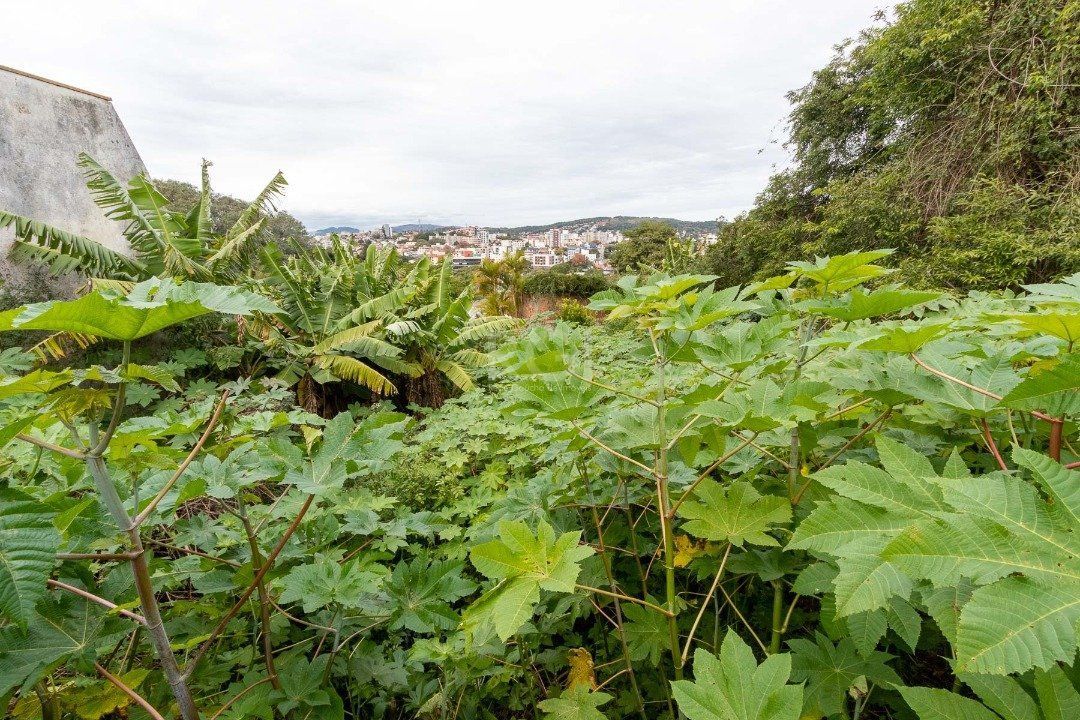 Terreno, 590 m² - Foto 5