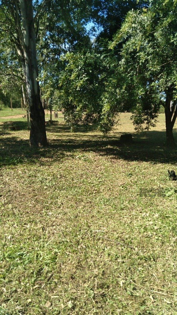 Terreno, 753 m² - Foto 4