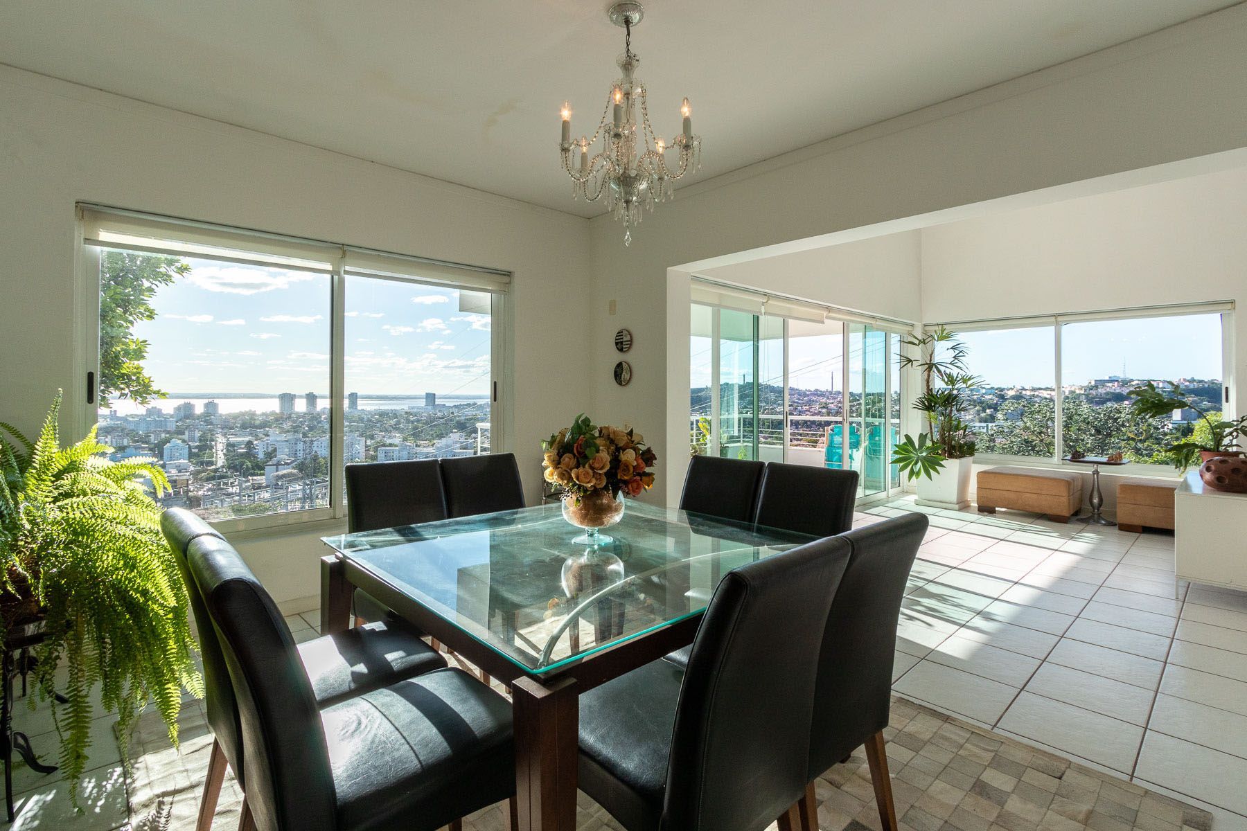 Casa, 3 quartos, 470 m² - Foto 13