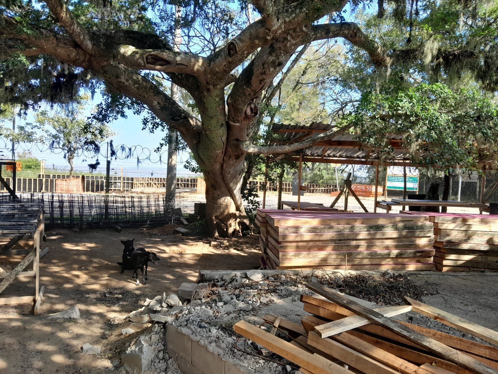 Terreno, 690 m² - Foto 13